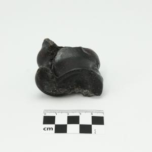 0010 Astrágalo de camello B