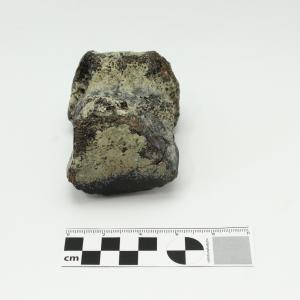 0003 Falange de mamut