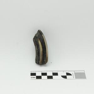 0009 Diente de caballo B