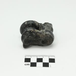 0010 Astrágalo de camello