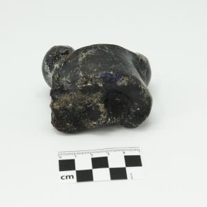 0011 Astrágalo de bisonte C