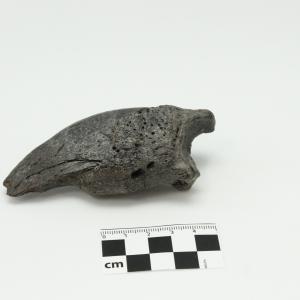 0014 Garra de perezoso A