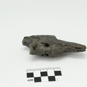 0014 Garra de perezoso B