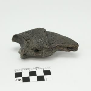 0014 Garra de perezoso C